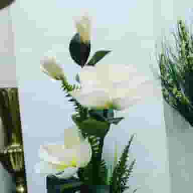 پاساژ ایرانیان ۲ در باغ آذری تهران