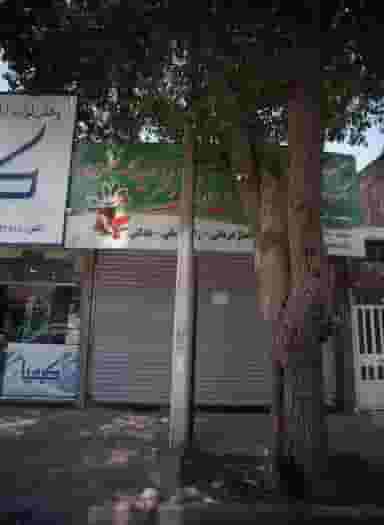 گیاهان دارویی دکتر سید محمد نظری در طلاب مشهد