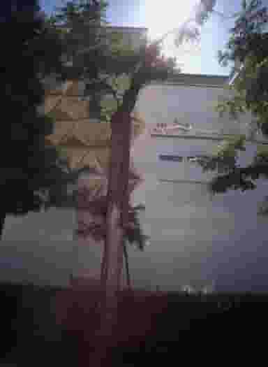 مطب دکتر زهره سیدی در سجاد شهر مشهد