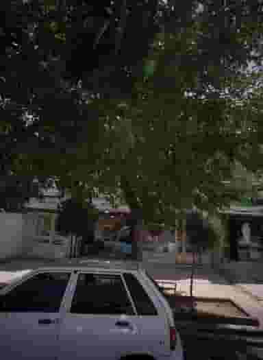 مطب دکتر علی محمد رستمی در امامیه مشهد