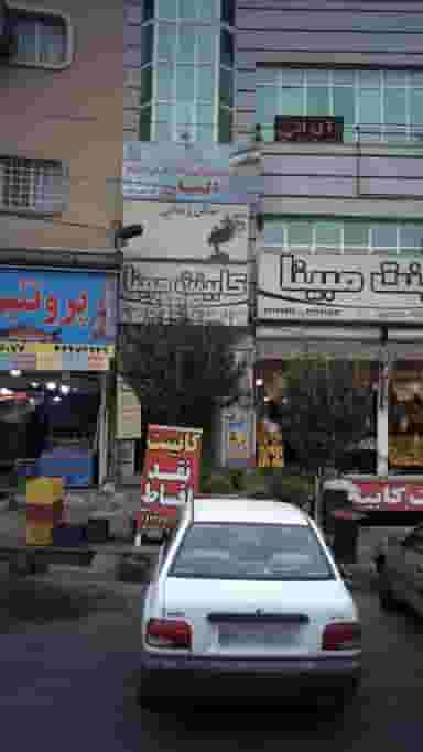 پیرایش کلاب مو بوتیمار در فاز سه گوهردشت کرج