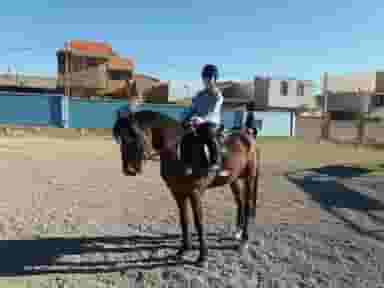 باشگاه سوارکاری شهدای کارگر کرج