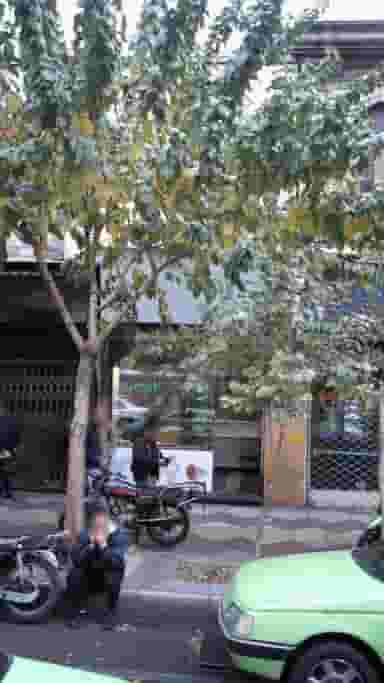 صرافی پارمیس در فردوسی تهران