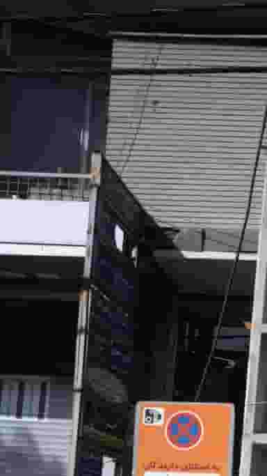 سالار فریدونی در جهان شهر کرج