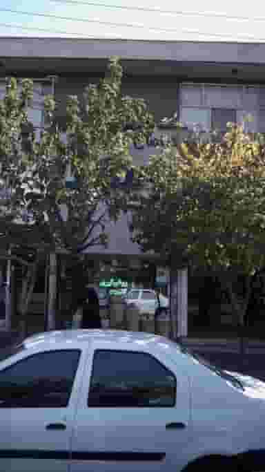 عطاری گیاهان دارویی در آزادگان کرج