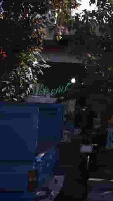 گیاهان دارویی شهرک حسینی کرج