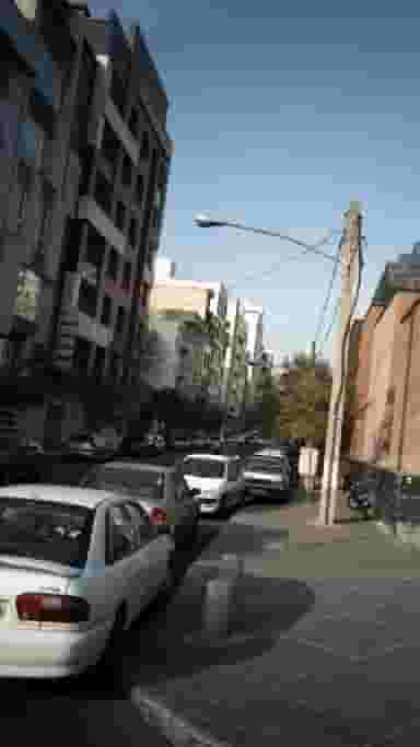 دکتر مهریزی در دریا تهران