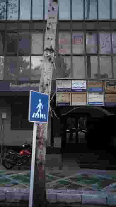 دکتر غلامحسین غرابی، فوق تخصص جراحی پلاستیک و زیبائی در آرارات تهران