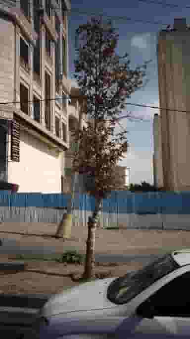 مطب دکتر ژاله ذوالقدری در سعادت آباد تهران