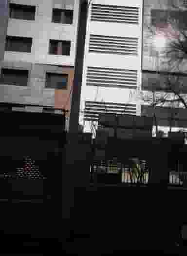 دکتر طاهره سماوات در پاتریس لومومبا تهران