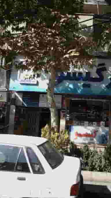 دکتر کامران خوشنودی در جهان شهر کرج