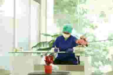 دندانپزشکی دکتر رویا تاجیک در جهان شهر کرج