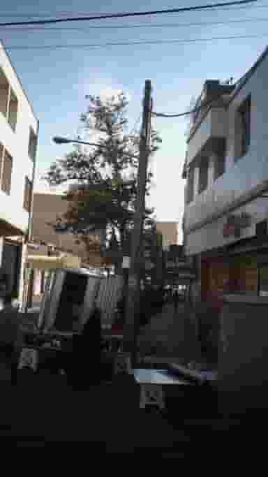 دکتر مرتضی فیروز بخت در طالقانی کرج