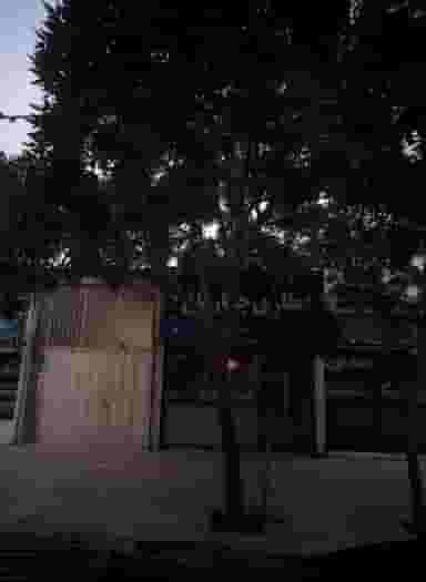 عطاری چهار باغ در شیرودی مشهد