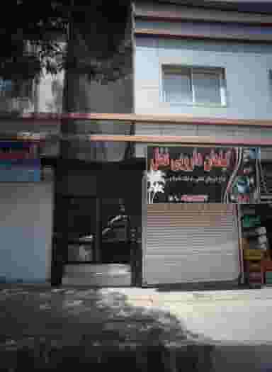 گیاهان دارویی نخل کوی المهدی مشهد