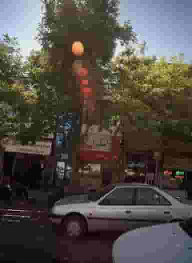 عطاری حکیم کوی امیرالمومنین مشهد