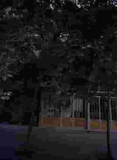 فروشگاه گیاهان دارویی کوی امیرالمومنین مشهد