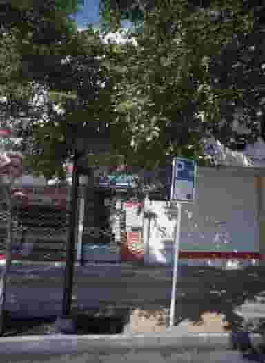 گیاهان دارویی باستان در ایثار مشهد