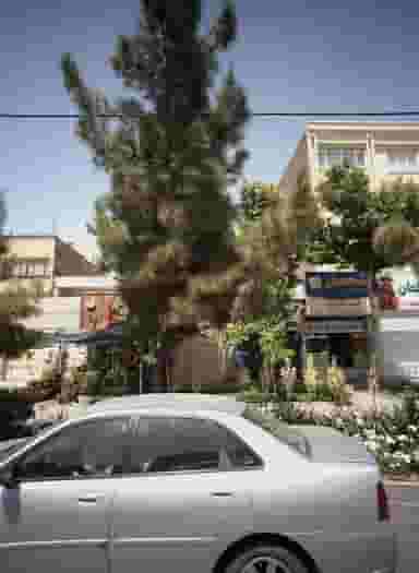 ثابت الکتریک در تربیت مشهد