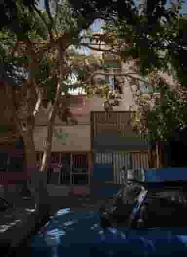 گیاهان دارویی کاکتوس در موعود مشهد