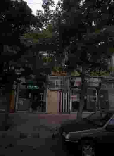 عطاری حکیم در تلگرد مشهد