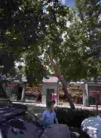 فروشگاه لوازم الکتریکی گالری افق طلایی در ده دی مشهد