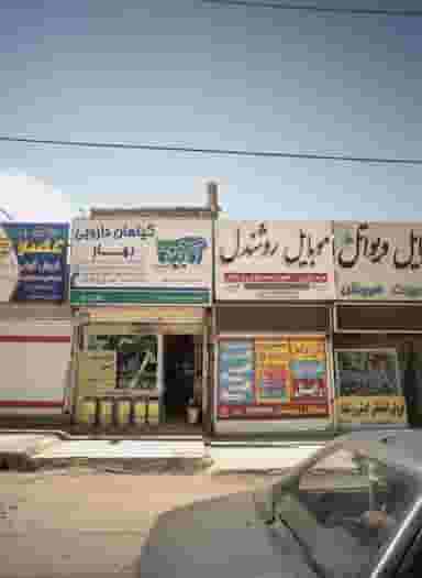گیاهان دارویی بهار در بلال مشهد