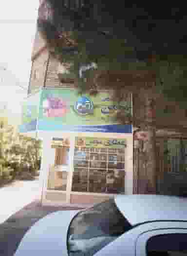 گیاهان دارویی مومن در اقبال مشهد