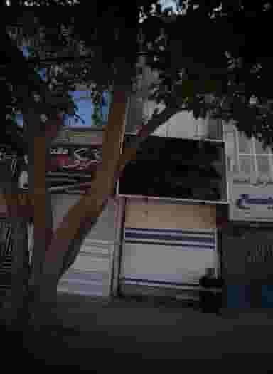 الکتریکی مقدم در رده مشهد