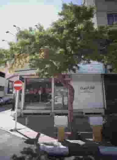 گیاهان دارویی برتر در فلسطین مشهد