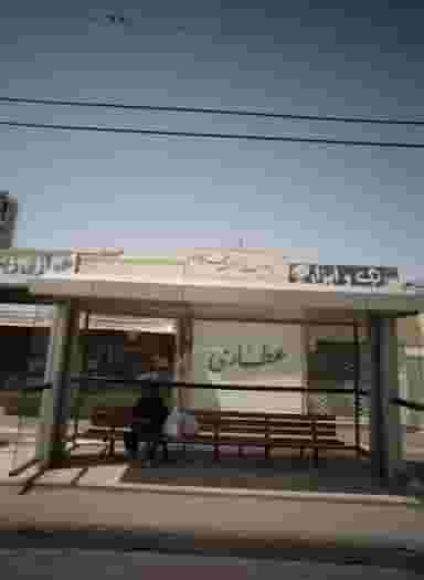 گیاهان دارویی و عرقیات زیتون در شاهد مشهد