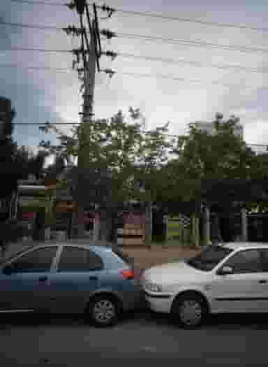 عطاری مجید در موعود مشهد