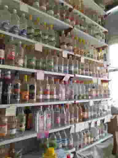 گیاهان دارویی زهانی در وحید مشهد