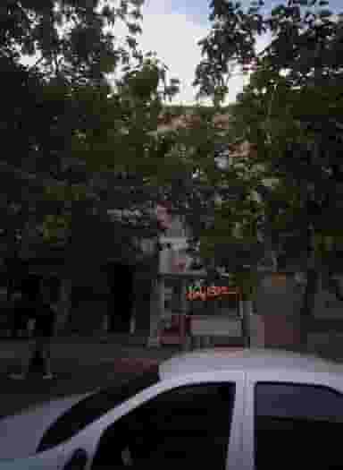 عطاری گل یاس در امام رضا مشهد