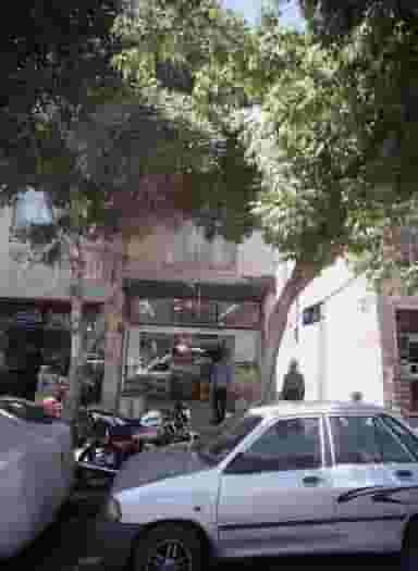 گیاهان حکیم کوی سیدی مشهد