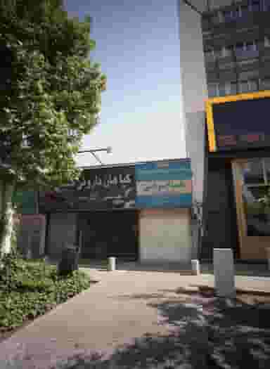 گیاهان داروئی سینا در فرهنگ مشهد