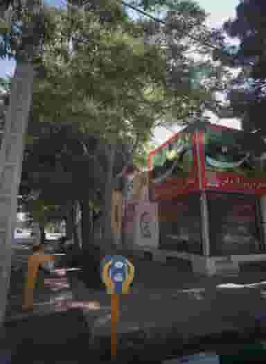 گیاهان دارویی گل نرگس در فرهنگ مشهد