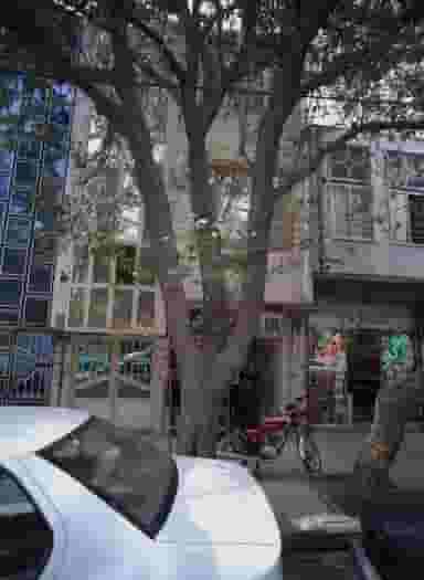 گیاهکده گل سرخ در حسین آباد مشهد