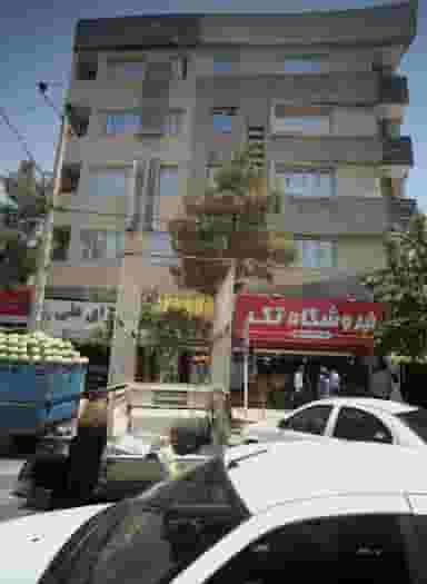 گیاهان دارویی آویشن در شاهد مشهد