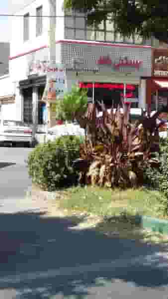 بستنی شاد در باغستان کرج