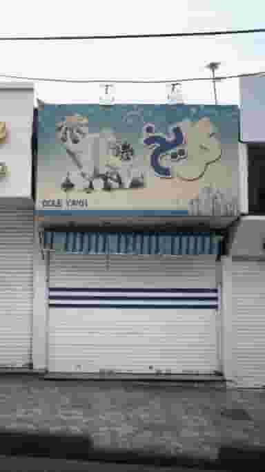 گل یخ در رجائی شهر کرج