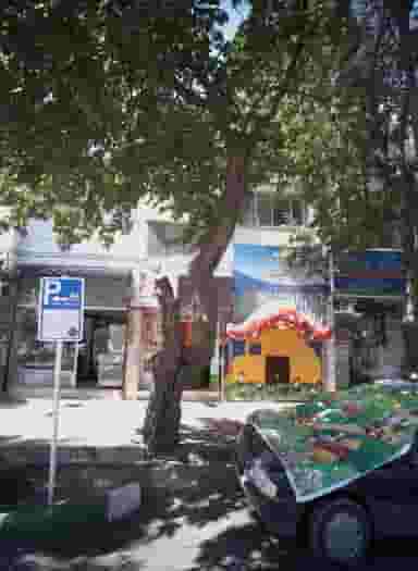 مهد کودک چلچله مشهد