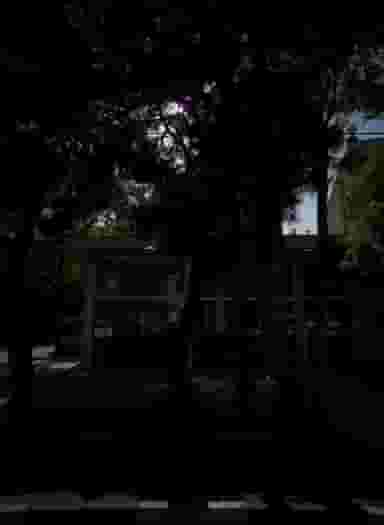 نمایشگاه خودرو در شهید بهشتی مشهد