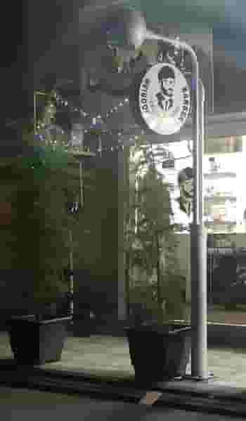 پیرایش موریش در قدوسی شرقی شیراز