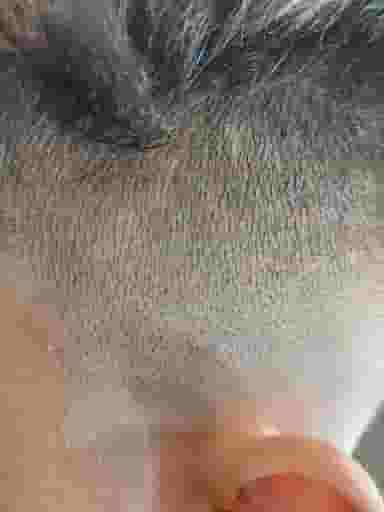 پیرایش مهدی استایل در منظریه رشت