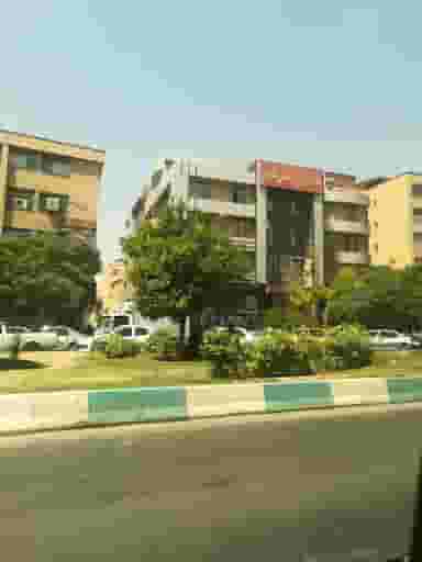 مطب دکتر محمود سوید در سینما سعدی شیراز