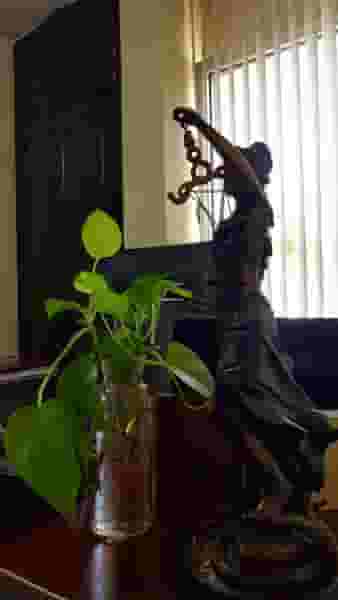 دفتر وکالت سعید سلطانفر در ملاصدرا شیراز