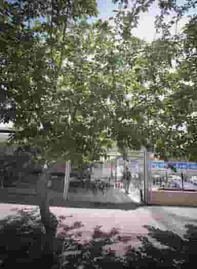 کارواش و تعویض روغنی در ولیعصر مشهد