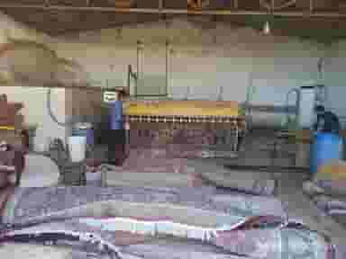 قالیشویی باران در لشکری شیراز