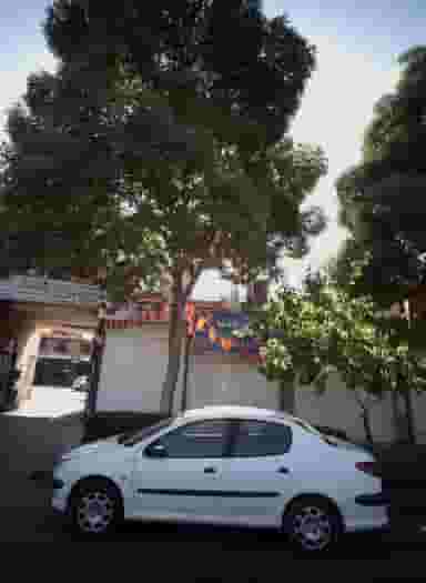 جگری باصفا در عامل مشهد